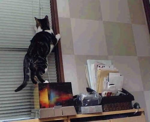 高校体育选项课课程设置现状与发展对策,高校体育课程建设