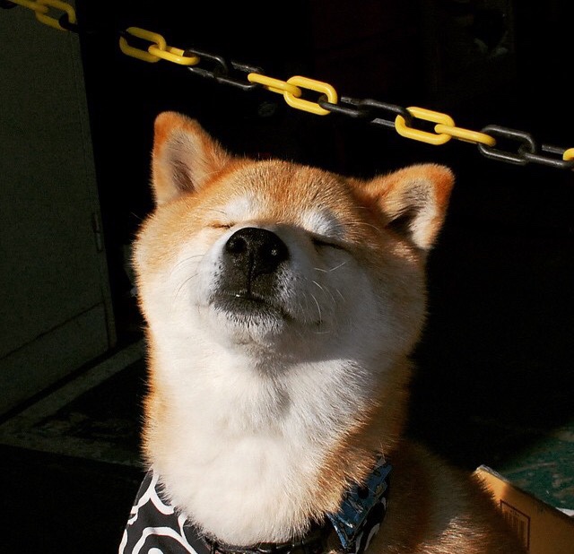 CBA多场焦点战引发关注 球迷热议,cba重磅消息