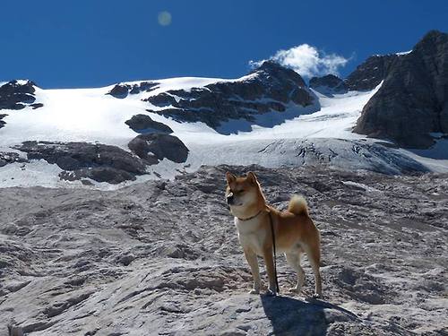 CBA联盟举办篮球文化节促进城市篮球发展,篮球文化艺术节