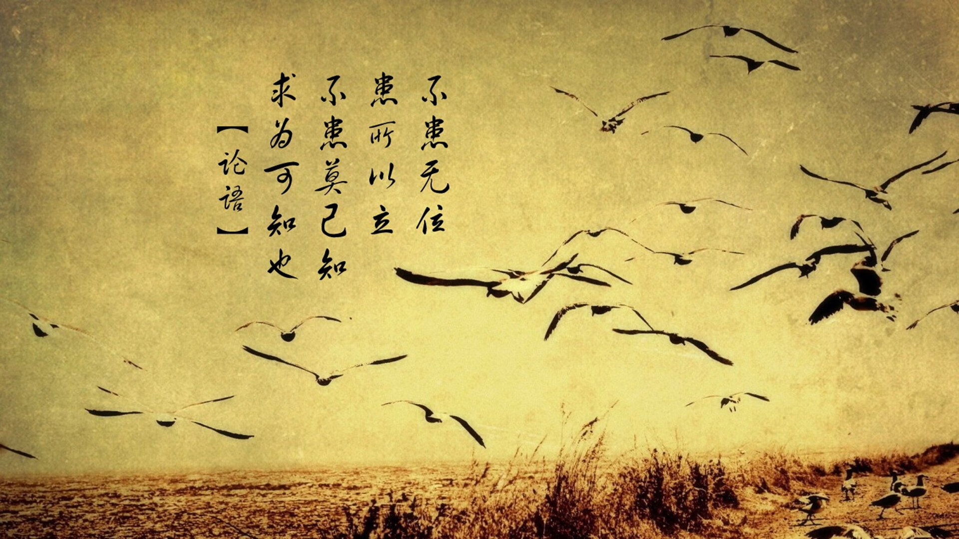 “克洛普批评FIFA:这是足球史上最糟糕的想法”