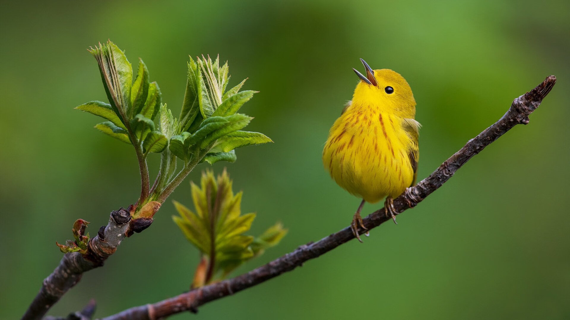 俱乐部战略目标调整关注长期发展与青训体系建设并重,俱乐部发展规划及思路