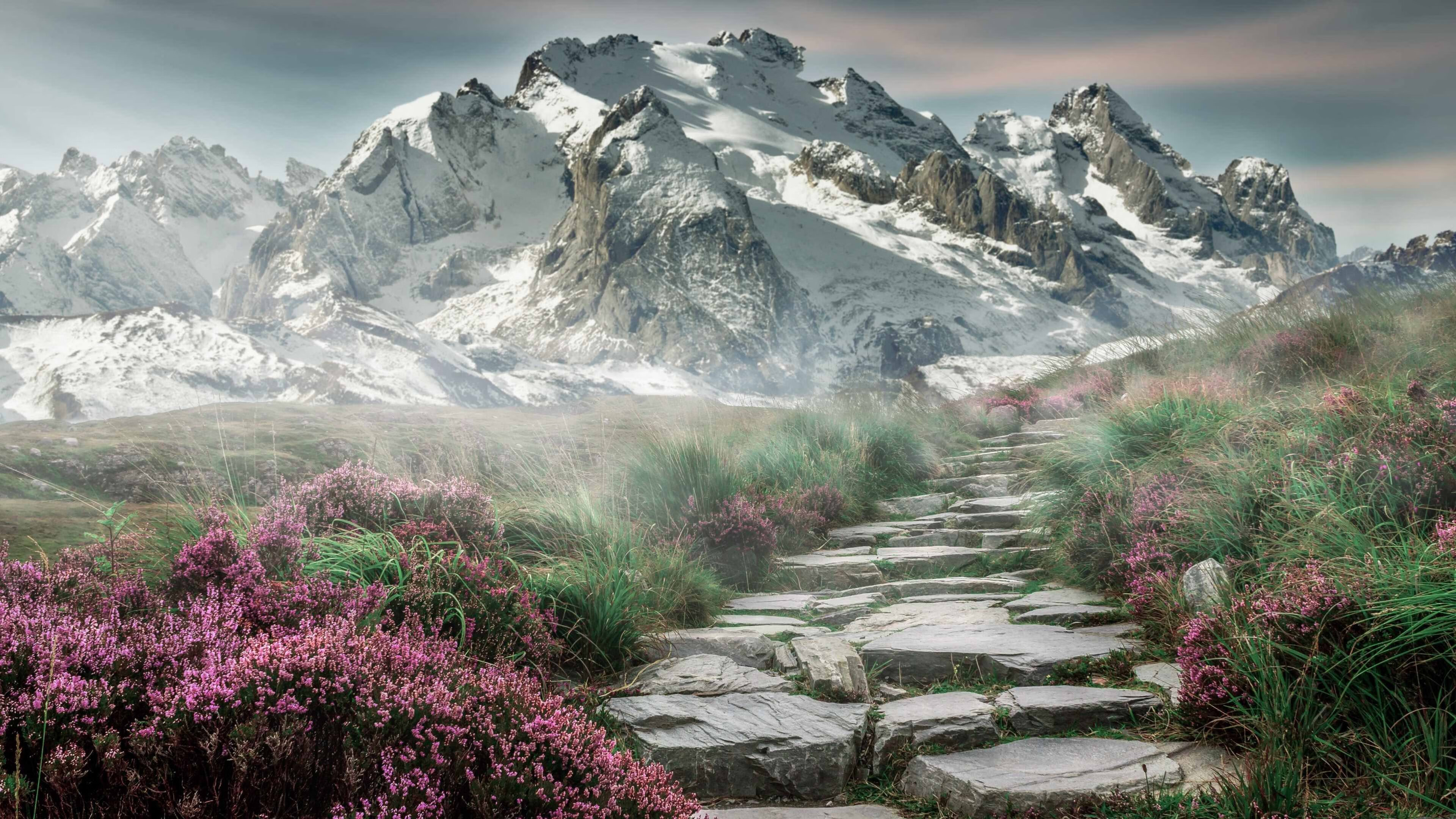 勇士新秀与老将结成互助小组共同进步,勇士新秀2020