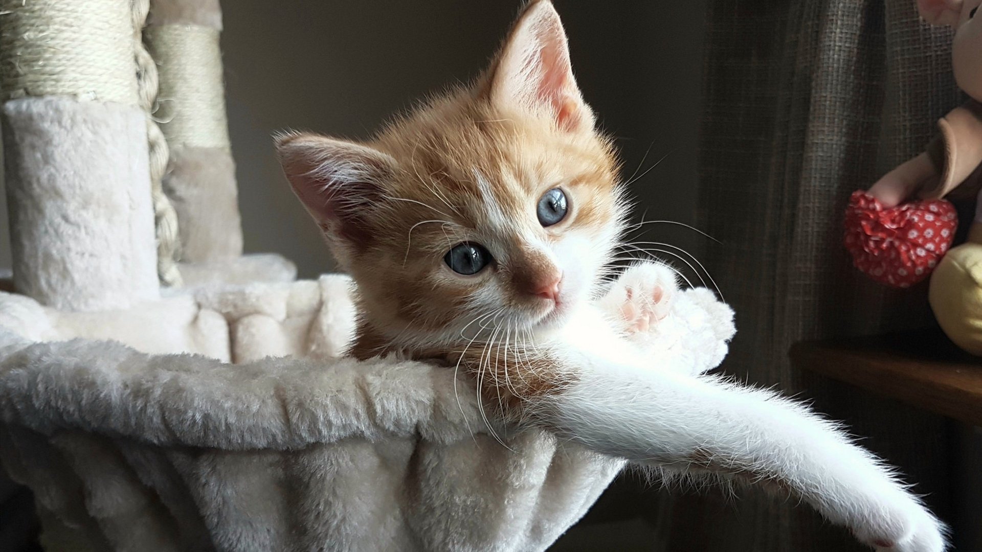 李冰洁对决奥卡拉汉 全程紧咬不放,李冰洁奥运会参赛项目