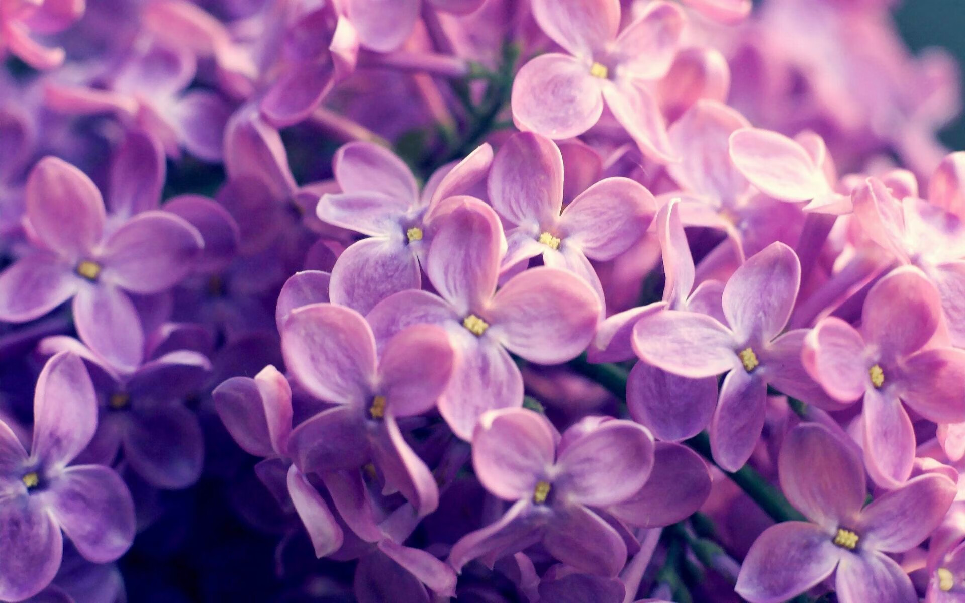 水球小组赛波兰战绩显著,2021水球比赛视频