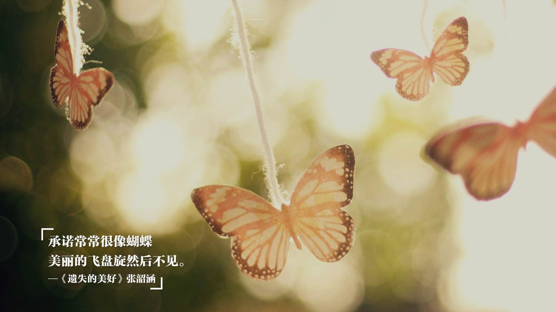 华体会app安装-特色足球场馆引入多功能智能娱乐系统，提升用户体验，足球场管理软件