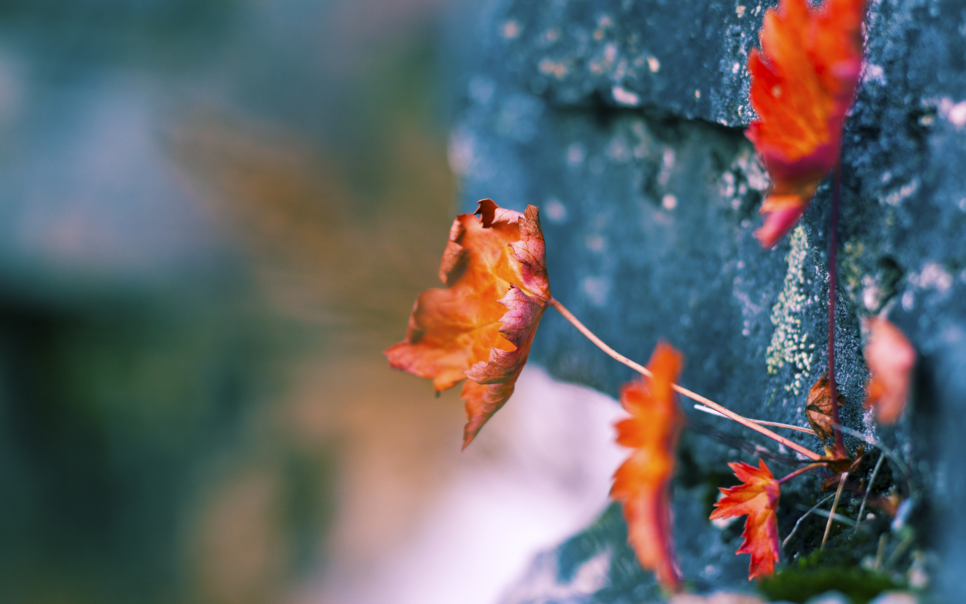 华体会手机在线-美国男篮在世界杯决赛中逆转夺冠，实现三连冠壮举