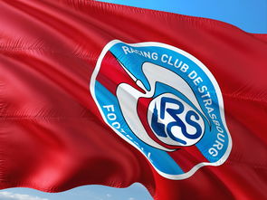 华体会-荷兰队在欧洲预赛中继续保持领先优势