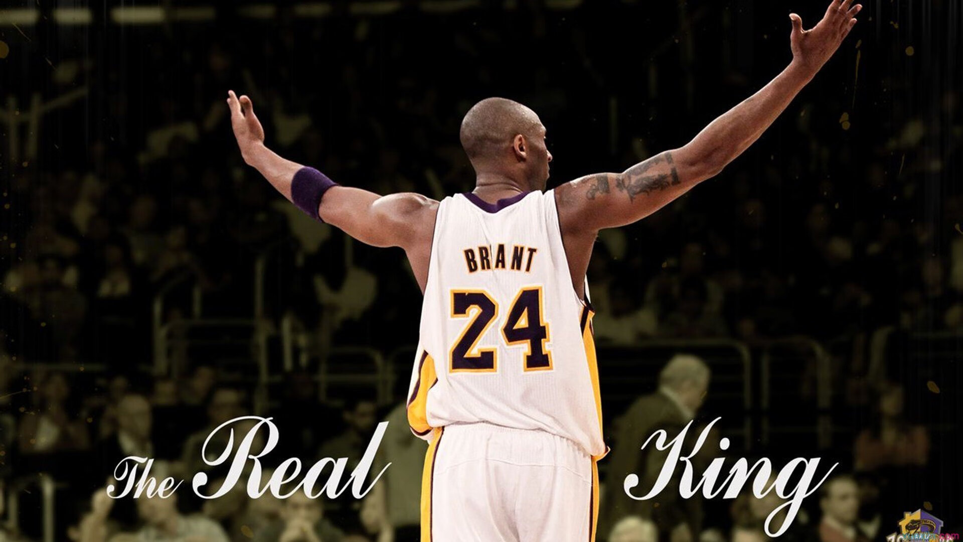 Morales 赛场表现持续亮眼