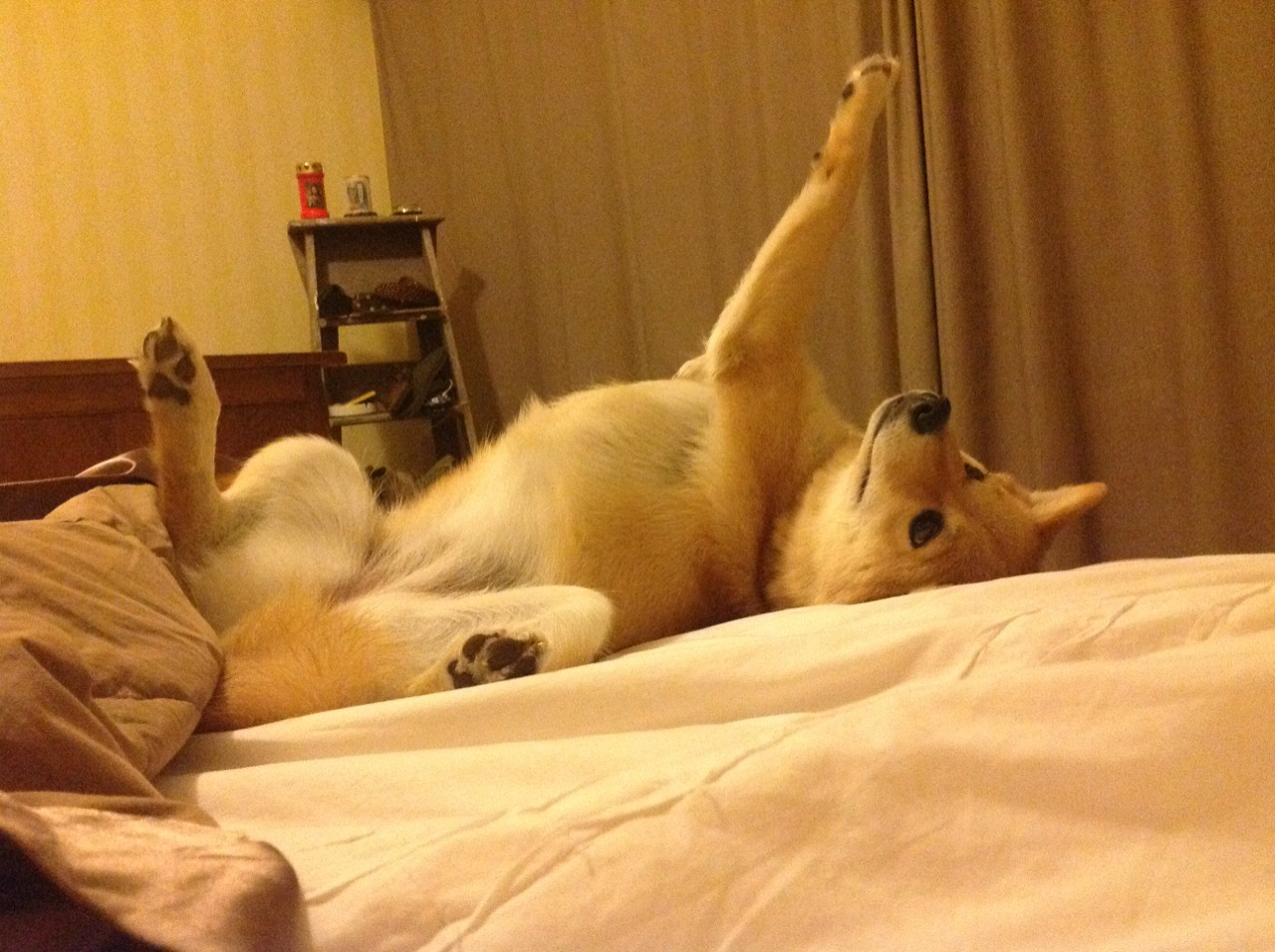 中国足球女足训练设施分布与资源均衡问题,女足 训练